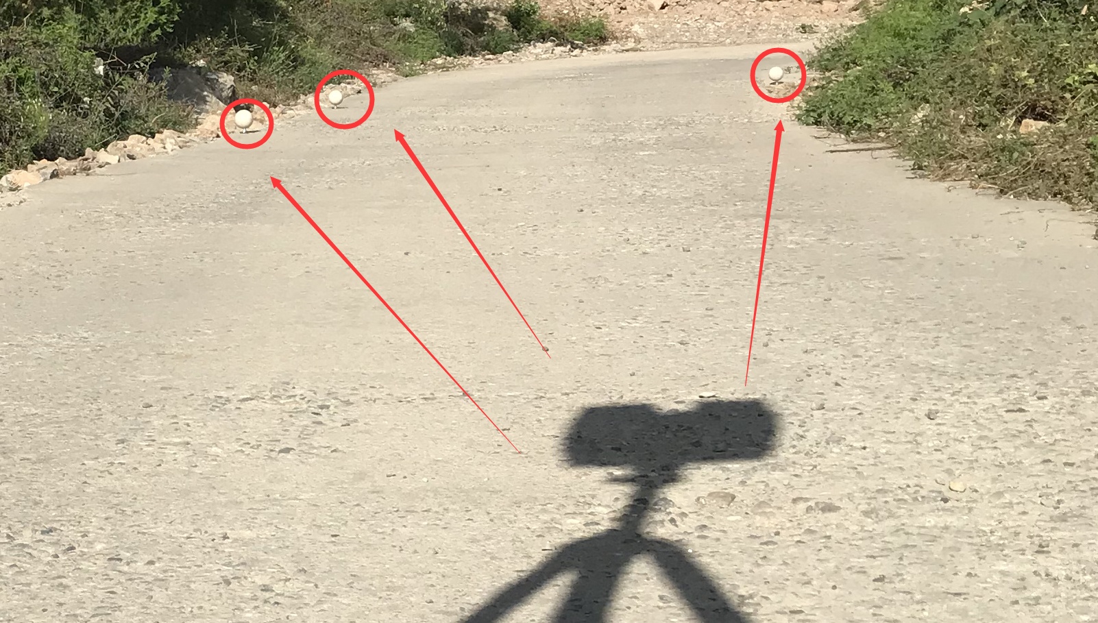1688534824807925.jpg