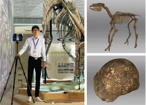 恐龙古文物古化石三维扫描.png