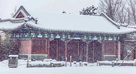 泰来三维| 冬天 冬雪  三维扫描，这边风景独好